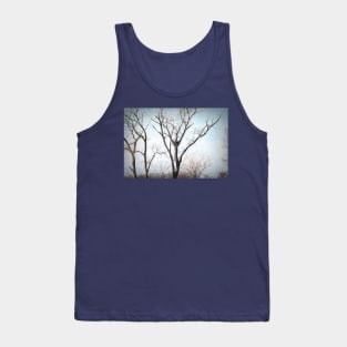 Eagle Nest in Winter Painterly Tank Top